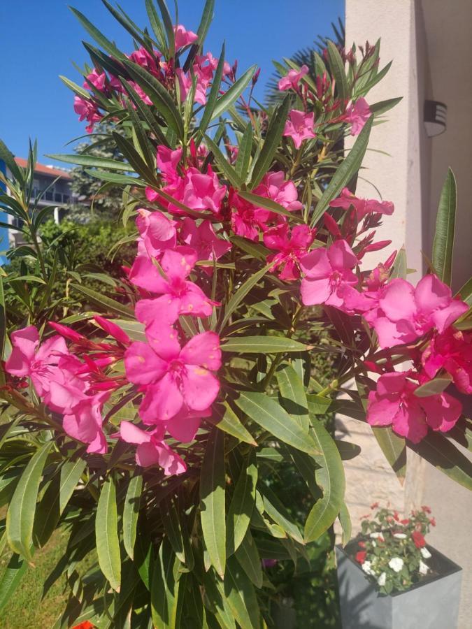 Near The Beach PUY Exterior foto