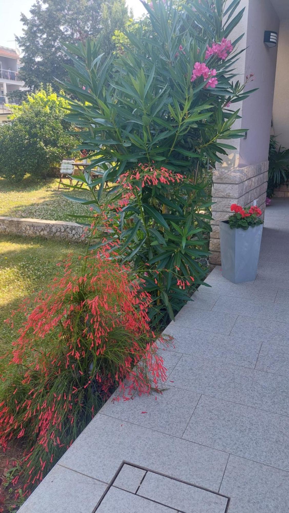 Near The Beach PUY Exterior foto
